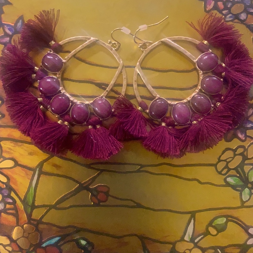 Large Burgundy Earrings with 10 Mini-Tassels!
